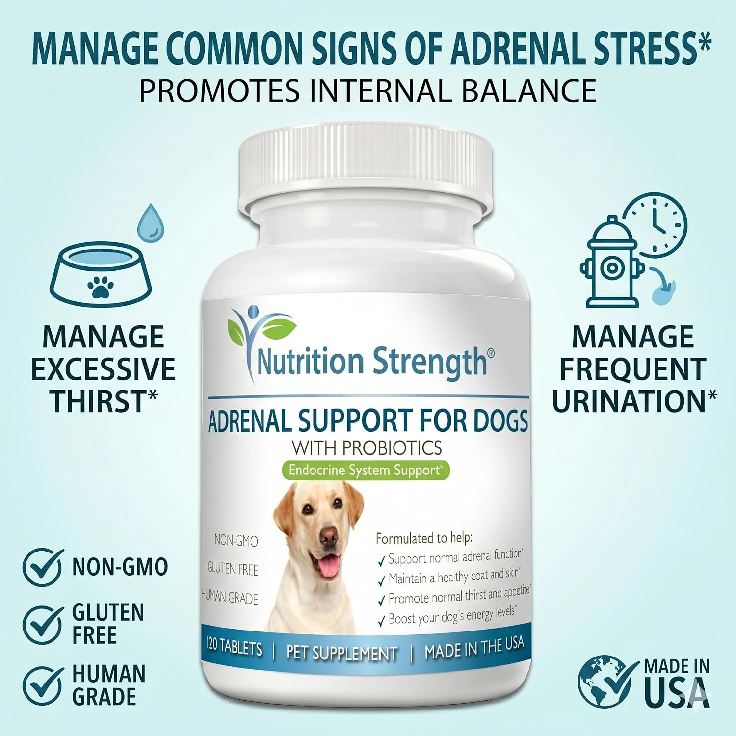 Adrenal Support for Dogs with Cushing's Disease - 120 Herbal Chewable Tablets - görsel 2