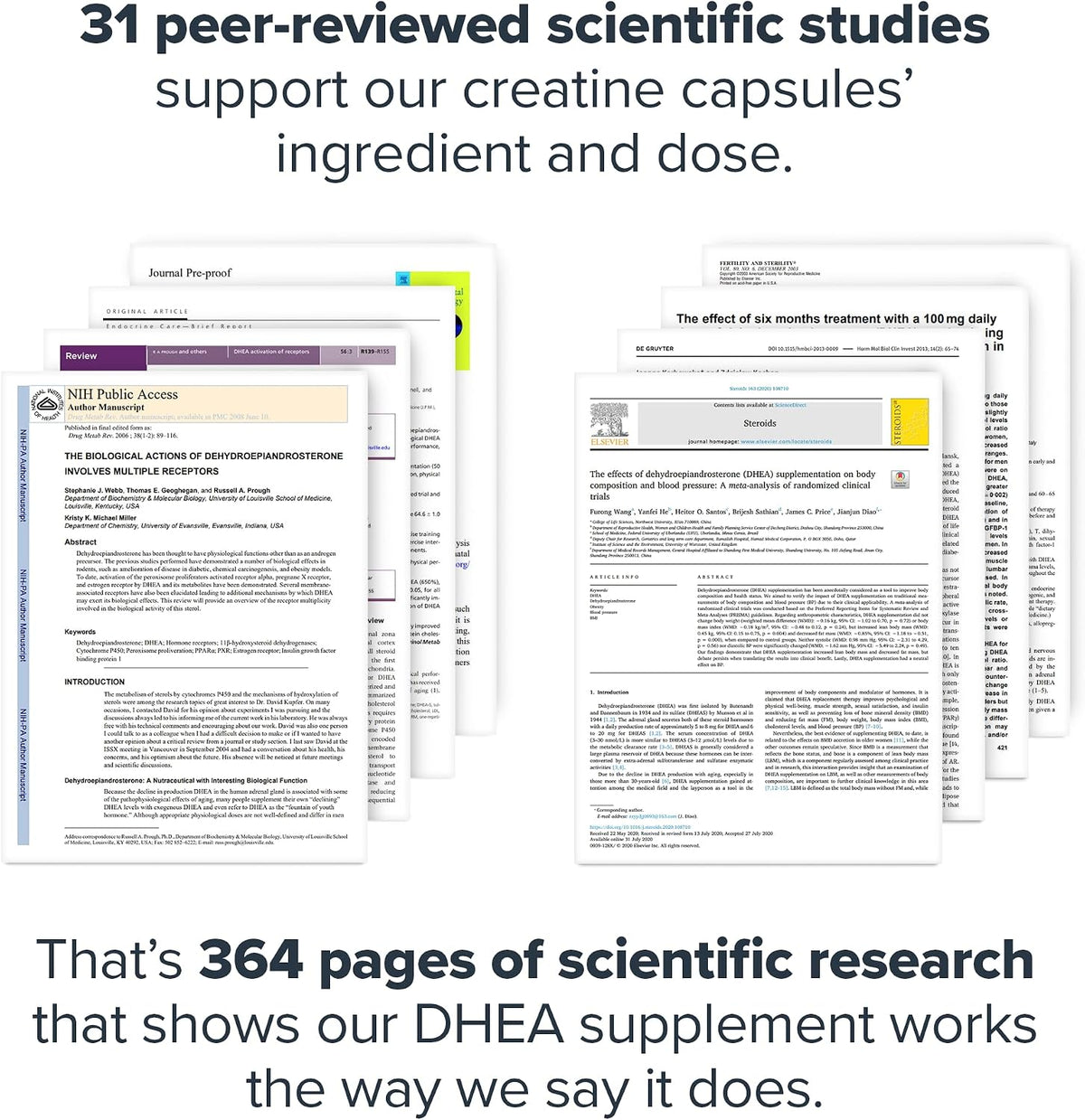 LEGION DHEA 50mg Supplement – Hormone – Men and women's looking to naturally maintain hormone balance – Image 5