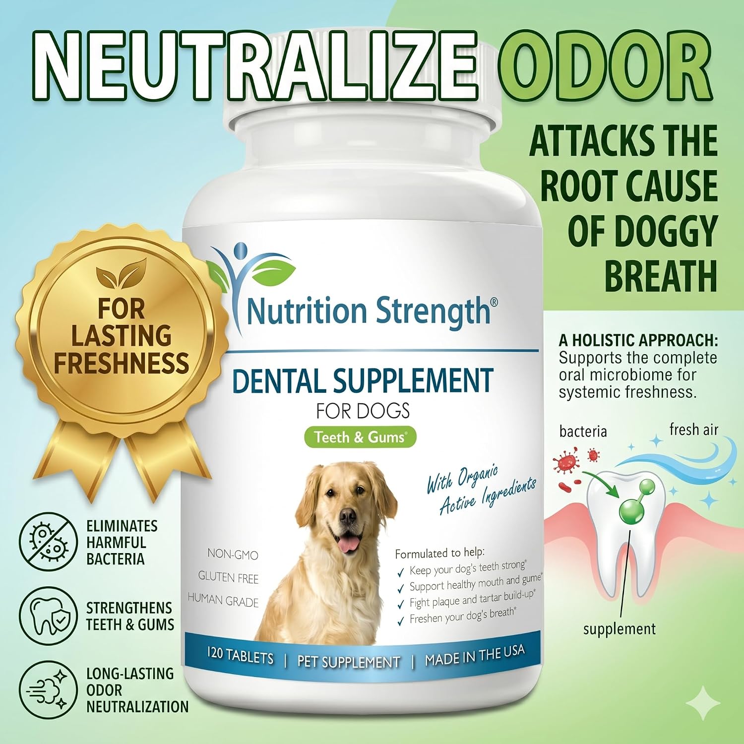 Nutrition Strength Dental Care for Dogs - Natural Plaque & Tartar Remover for Teeth - Fresh Breath Dog Supplement with Organic Kelp, Strawberry Leaf & Pumpkin Seed for Gum Health - 120 Tablets - görsel 5