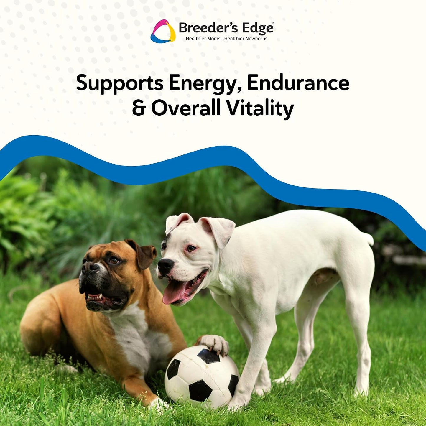 Breeder's Edge Oxy Stud Male Supplement Multivitamin - Soft Chews for Dogs & Cats (60 Chews) - görsel 5