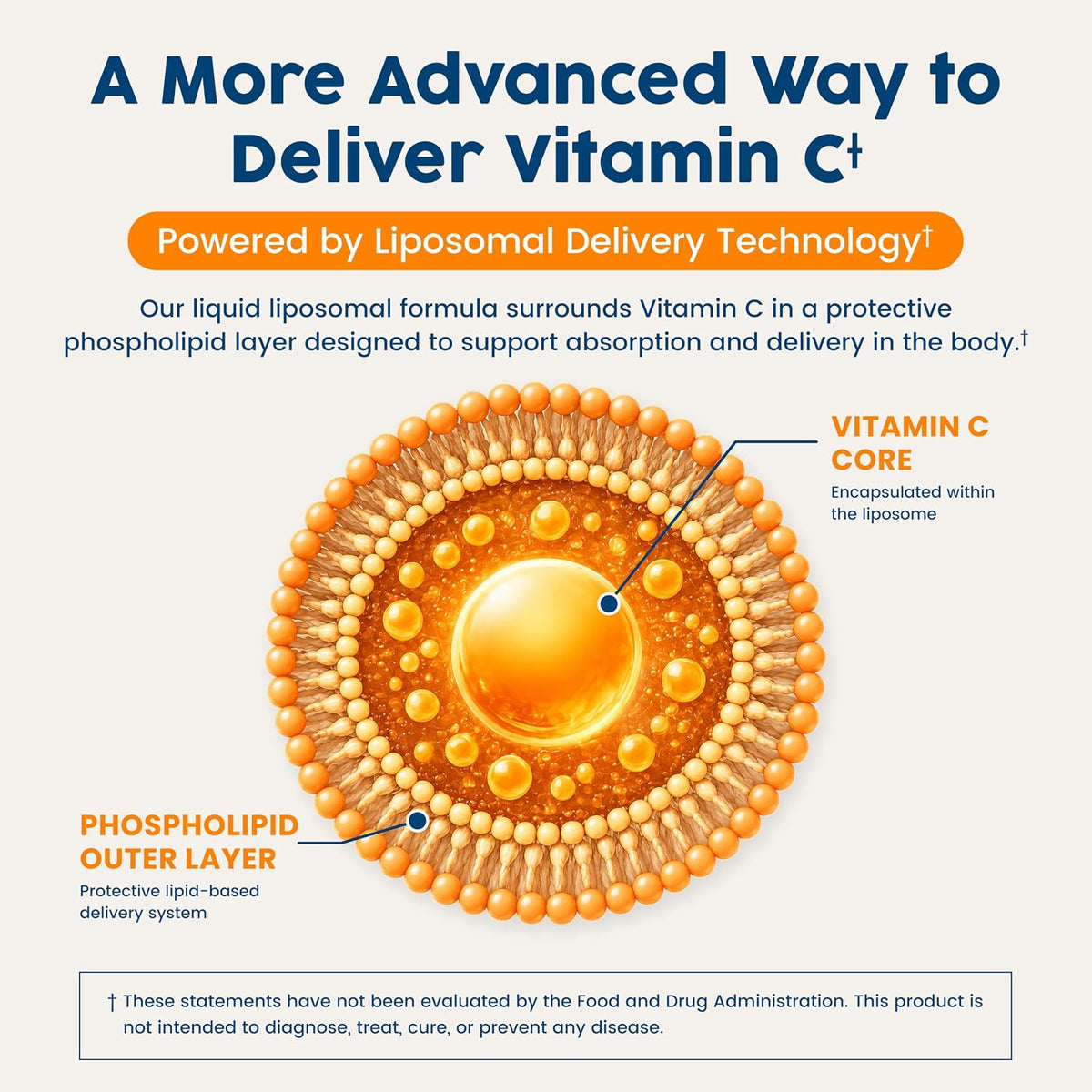 NativePath Liposomal Vitamin C 500mg from Wholefood Amla Fruit - Soy-Free Egg Yolk Lecithin Liposomes - Orange Flavour – Image 4
