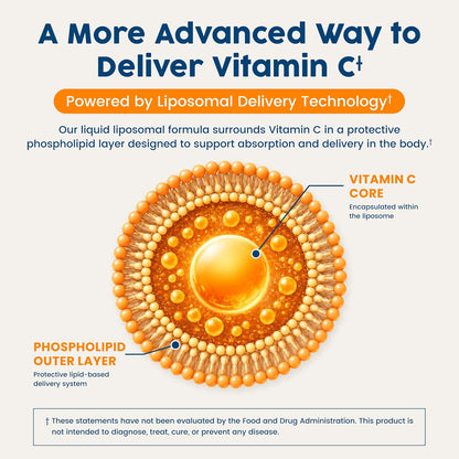 NativePath Liposomal Vitamin C 500mg from Wholefood Amla Fruit - Soy-Free Egg Yolk Lecithin Liposomes - Orange Flavour – Image 4