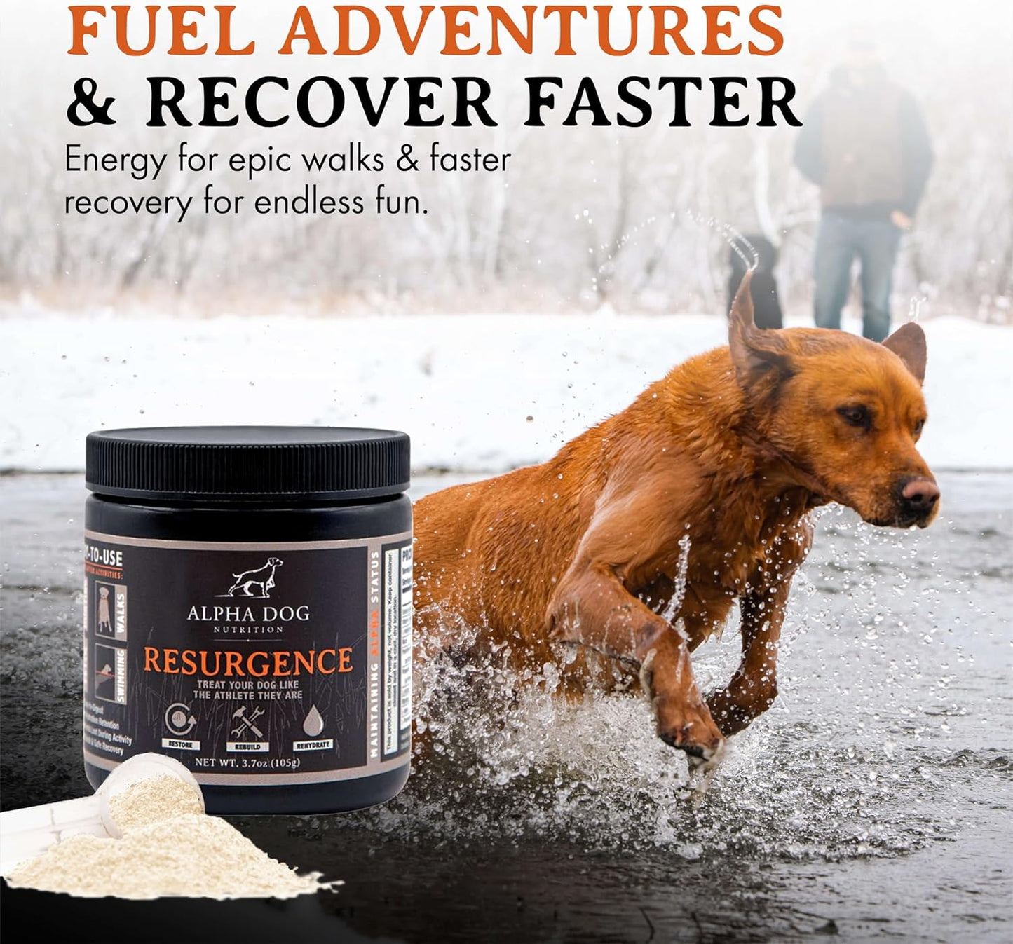 Alpha Dog Nutrition Electrolytes for Dogs – PhD Formulated Hydration Supplement with Beef Flavour for Active Canines - görsel 3