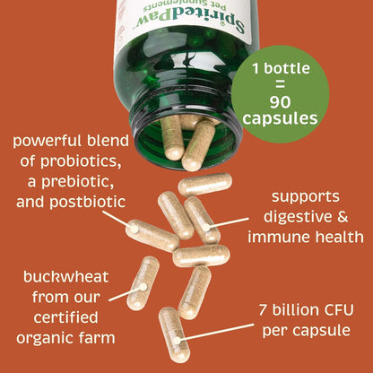 Spirited Paw Probiotic + Gut Health - Digestive and Immune Support for Dogs and Cats - Prebiotic, Probiotic and Postbiotic Pet Care Blend with Organic Buckwheat and Chicory Root Fibre - 90 Capsules