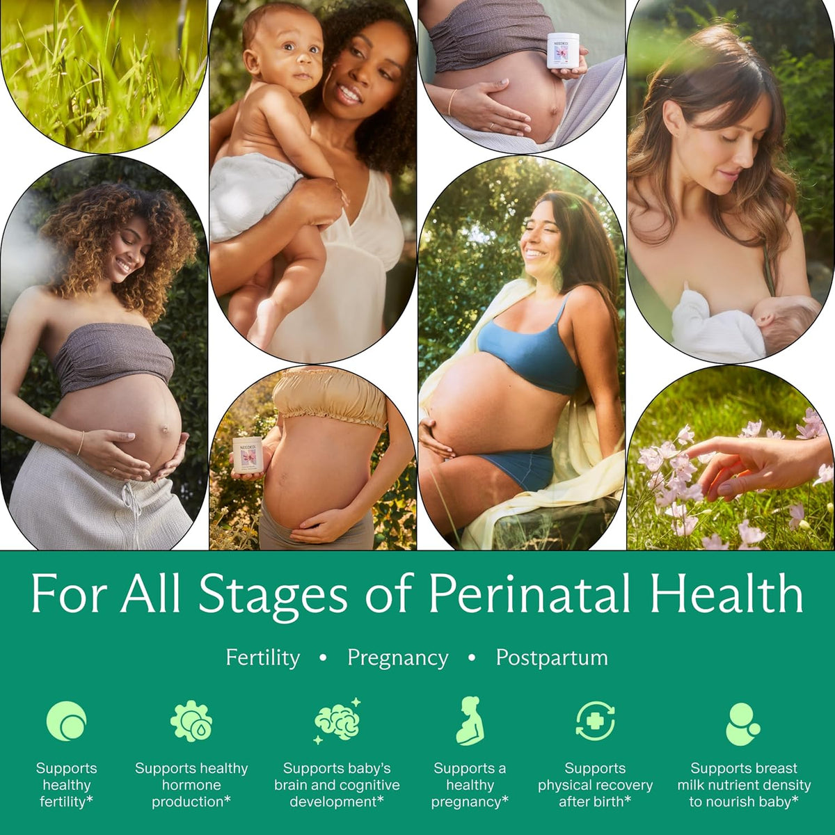 Needed. Prenatal Multi Essentials Capsules - 23 Nutrients for Pregnancy, Breast-feeding, Postpartum | Third-Party Tested, – Image 4