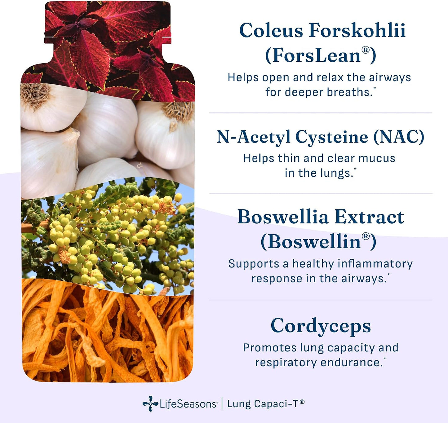 Lung Capaci-T - Respiratory Support Supplement - CoQ10, N-Acetyl Cysteine, Boswellia, Eucalyptus, Mullein, Green Tea, Nettle & Peppermint - Increases Oxygen Capacity & Reduces Mucus - 90 Capsules - görsel 5