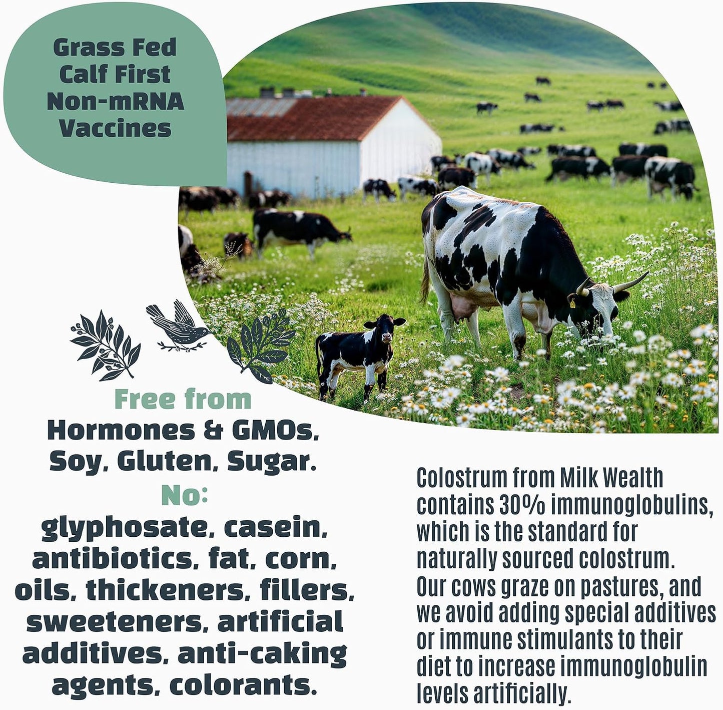 Milk Wealth™ Freeze-Dried Bovine Colostrum Powder – Immune & Gut Health Support, Grass-Fed, Unflavoured (25 Single-Serve Packets) - görsel 7