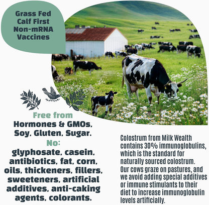Milk Wealth™ Freeze-Dried Bovine Colostrum Powder – Immune & Gut Health Support, Grass-Fed, Unflavoured (25 Single-Serve Packets)