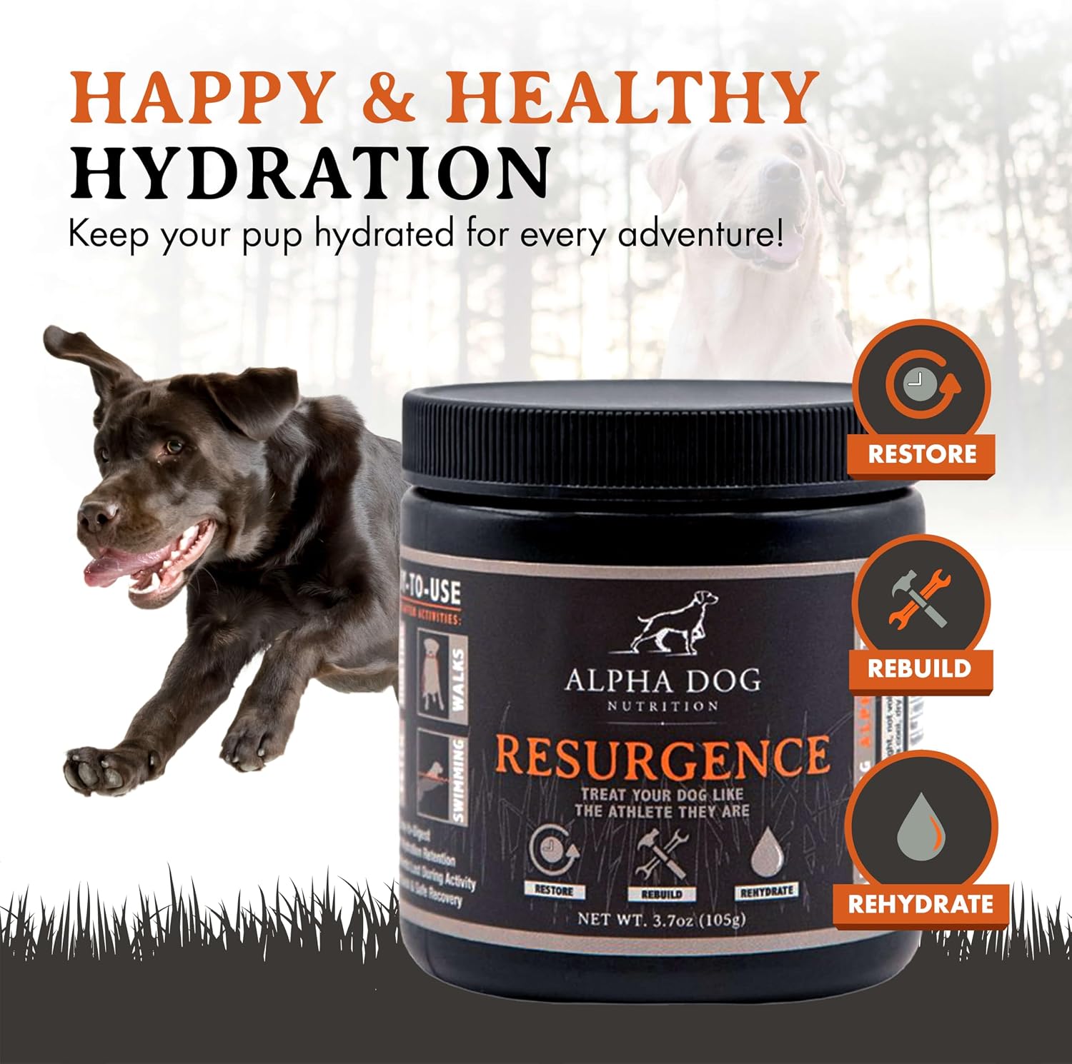 Alpha Dog Nutrition Electrolytes for Dogs – PhD Formulated Hydration Supplement with Beef Flavour for Active Canines - görsel 2