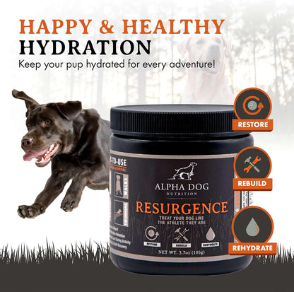Alpha Dog Nutrition Electrolytes for Dogs – PhD Formulated Hydration Supplement with Beef Flavour for Active Canines
