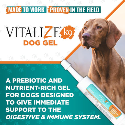 Vitalize Dog Gel - Surgery Recovery & Immune Support for Small Dogs - Peanut Butter Flavour (15 ml)