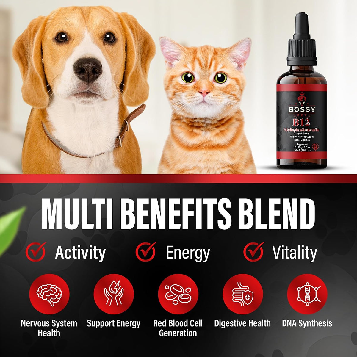 Bossy Pet Vitamin B12 Liquid Supplement for – Fast-absorbing, easy-to-administer dropper – Image 3