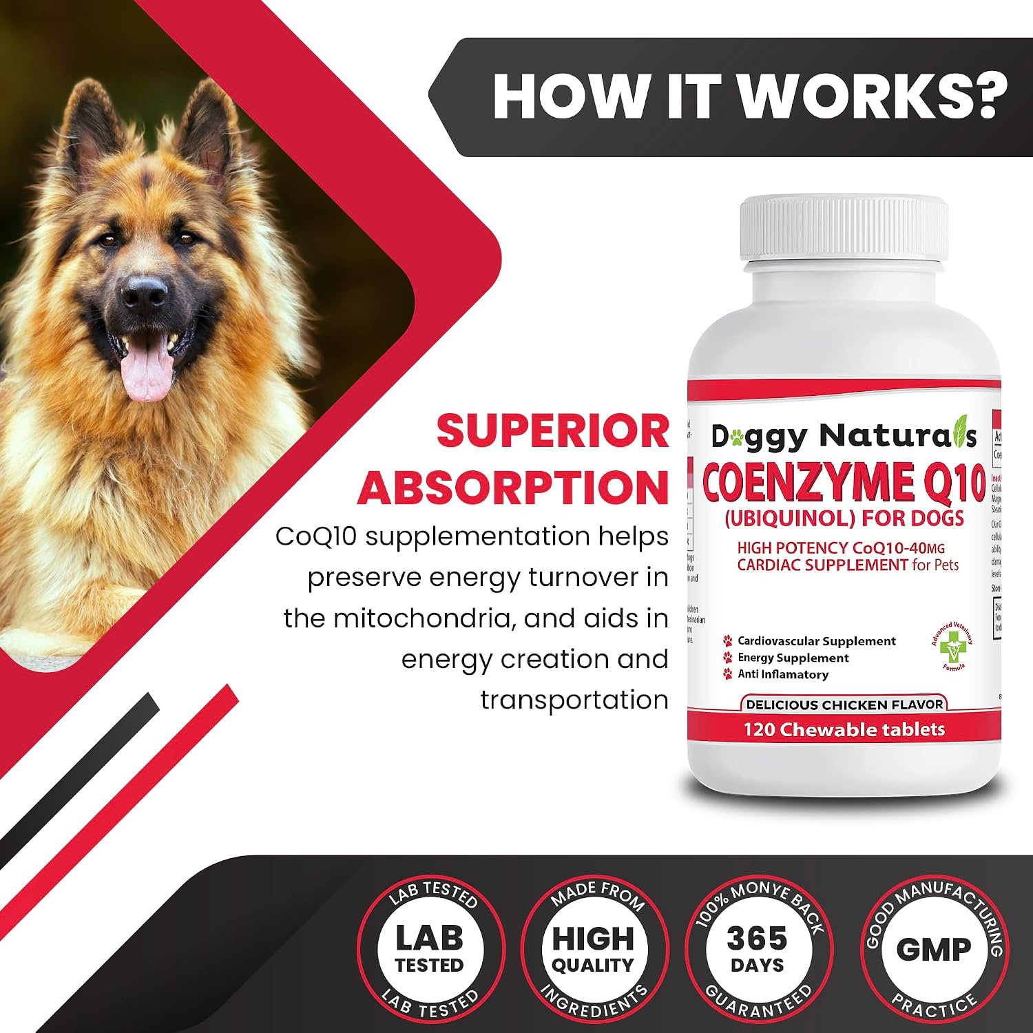 Coenzyme Q10 High Potency 40mg Ubiquinol for Dogs (120 Tablets) - Made in USA - görsel 6