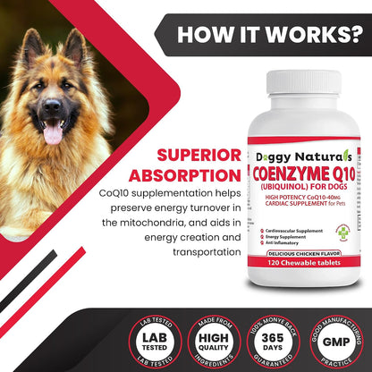 Coenzyme Q10 High Potency 40mg Ubiquinol for Dogs (120 Tablets) - Made in USA