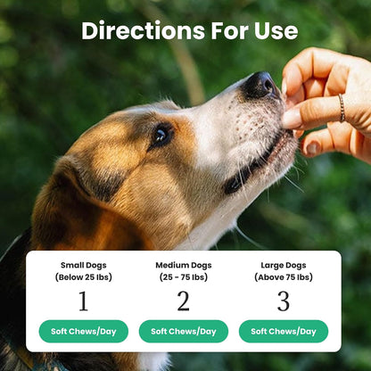 Paw Balance Dog Probiotics and Multivitamin Chews – Digestive Health, Immune Support, Allergy Relief, 60 Soft Chews – Image 5