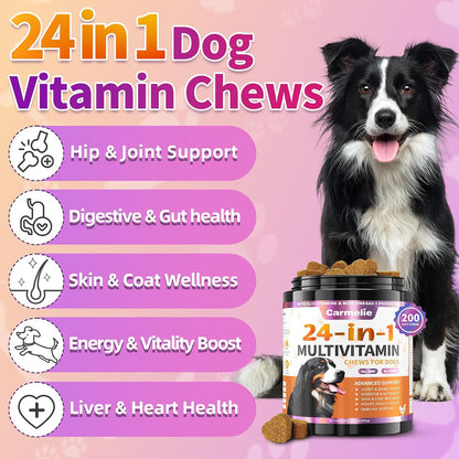 Dog Vitamins – 24-in-1 Complete Supplement, 200 Chews with Glucosamine, Probiotics, Omega-3. Supports Hips & Joints, Skin & Coat, Immune & Digestive Health. Chicken Flavour.