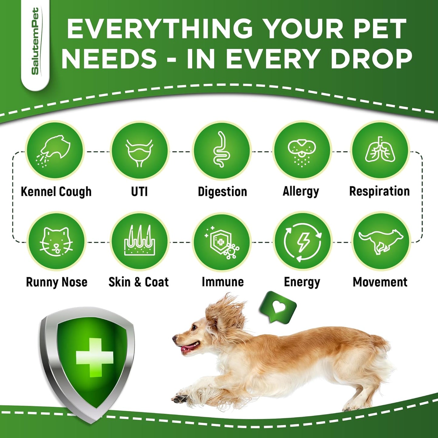 Natural Antibiotics for Dogs to Help with Allergies and UTIs | Kennel Cough Remedy for Dogs | Infection Support for Cats | Herbal Supplement Great for All Breeds and Ages | 60 mL - görsel 3