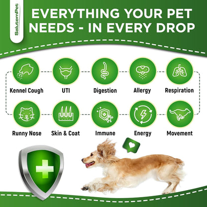 Natural Antibiotics for Dogs to Help with Allergies and UTIs | Kennel Cough Remedy for Dogs | Infection Support for Cats | Herbal Supplement Great for All Breeds and Ages | 60 mL