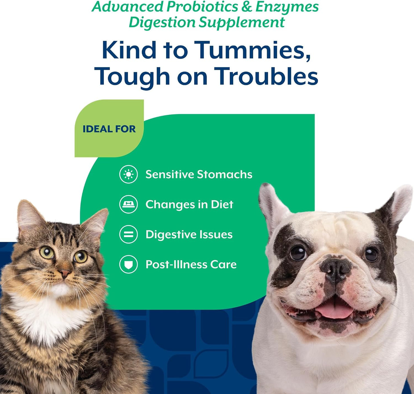 NaturVet Advanced Probiotics & Enzymes – Plus Vet Strength PB6 Probiotic for Dogs & Cats (227 g) - görsel 4