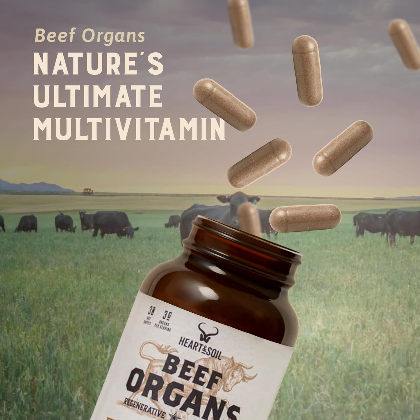 HEART & SOIL 100% Grass Fed Beef Organs Supplement (Liver, Heart, Kidney, Pancreas & Spleen) – 3000mg – 180 Capsules - görsel 8