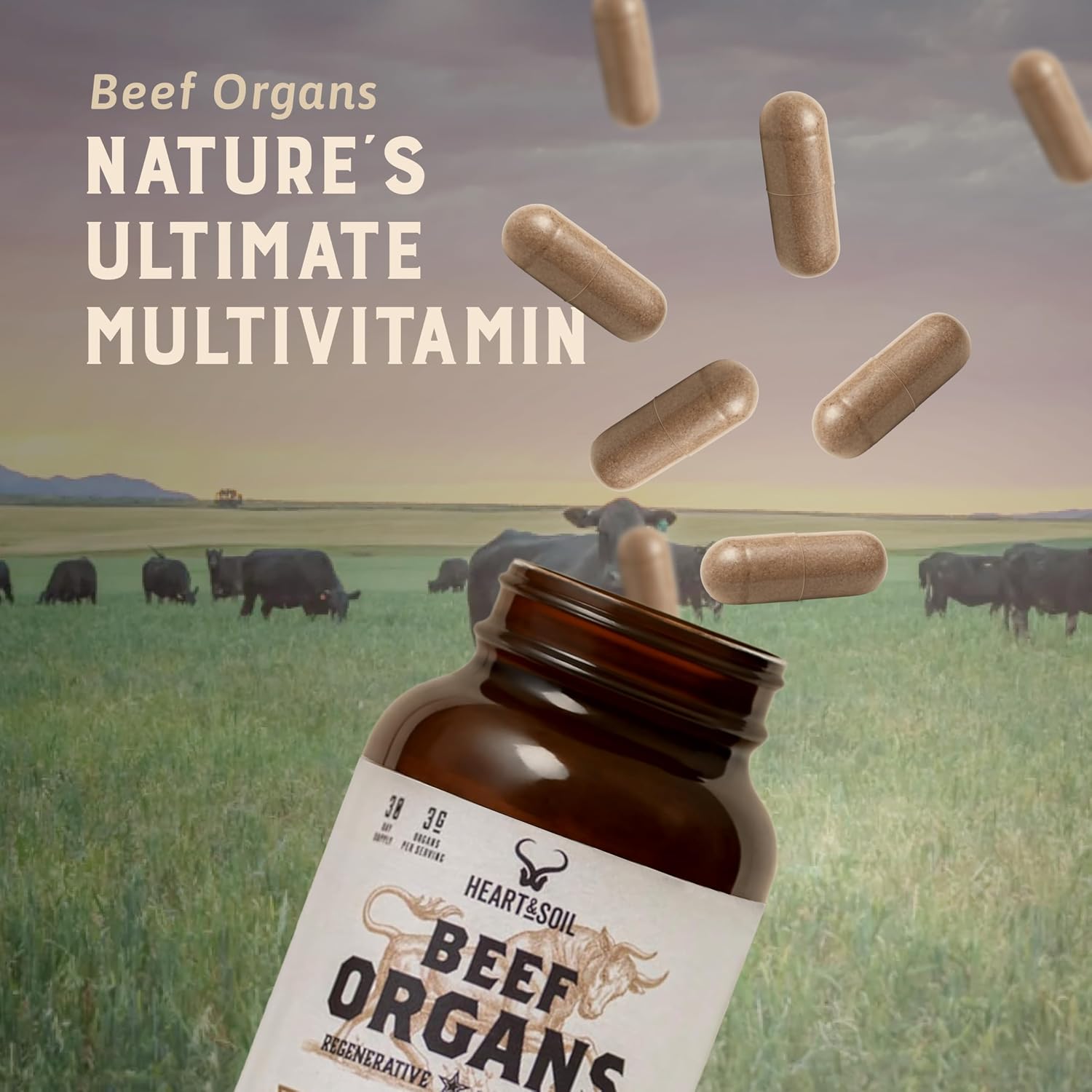 HEART & SOIL 100% Grass Fed Beef Organs Supplement (Liver, Heart, Kidney, Pancreas & Spleen) – 3000mg – 180 Capsules - görsel 8