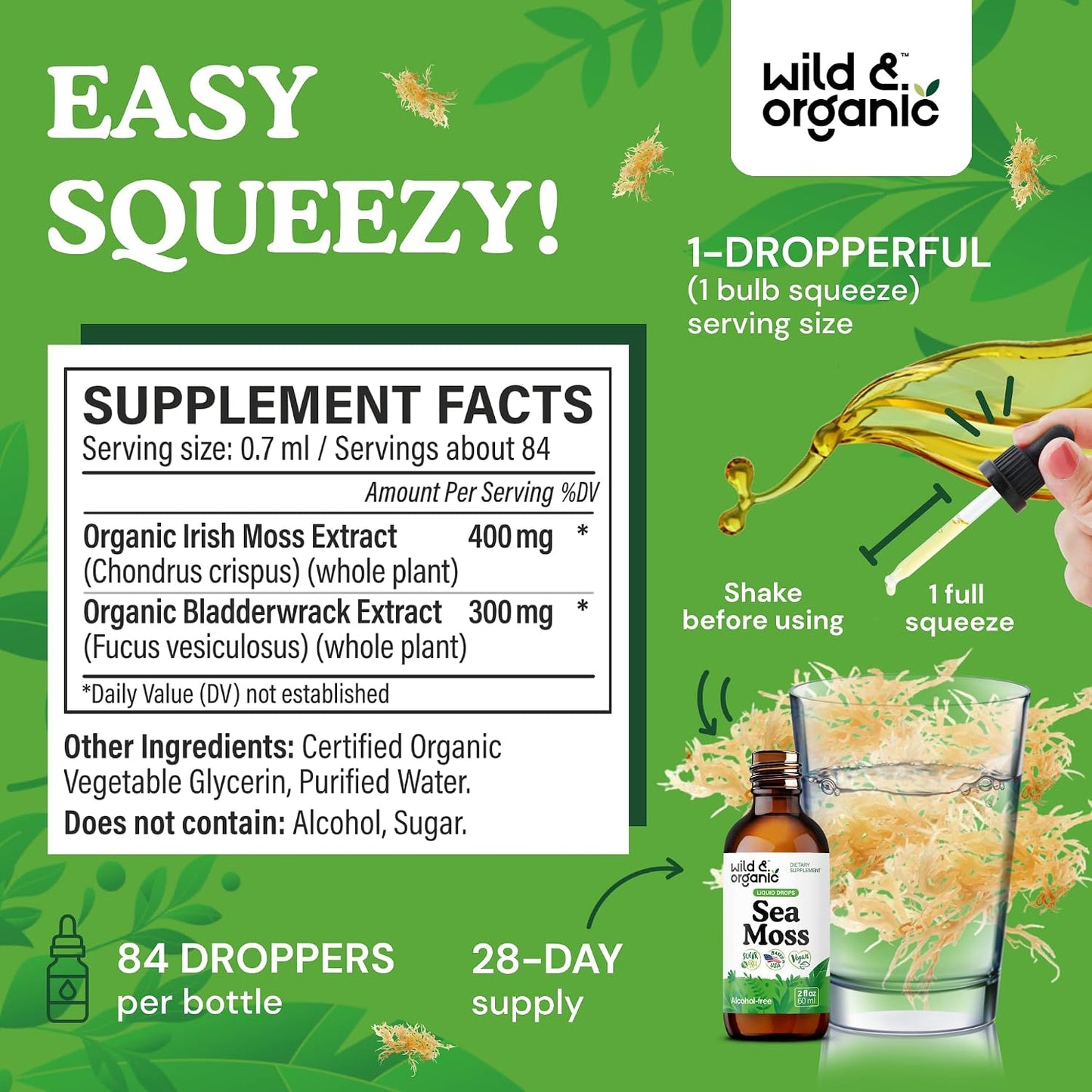 Wild & Organic Sea Moss Liquid Drops – Immune Support – Irish Sea Moss and Bladderwrack Tincture – Multimineral Chondrus Crispus Supplement – Vegan, Sugar & Alcohol-Free – 59 mL - görsel 3