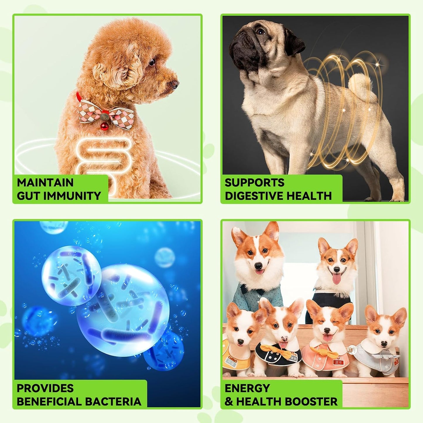 Probiotics for Dogs, 3-in-1 Dog Probiotics, Dog Probiotics for Digestive Support, Dog Probiotic Supplements, Pet Probiotics for Dogs, Liquid Probiotics for Dogs | 59 mL - görsel 3