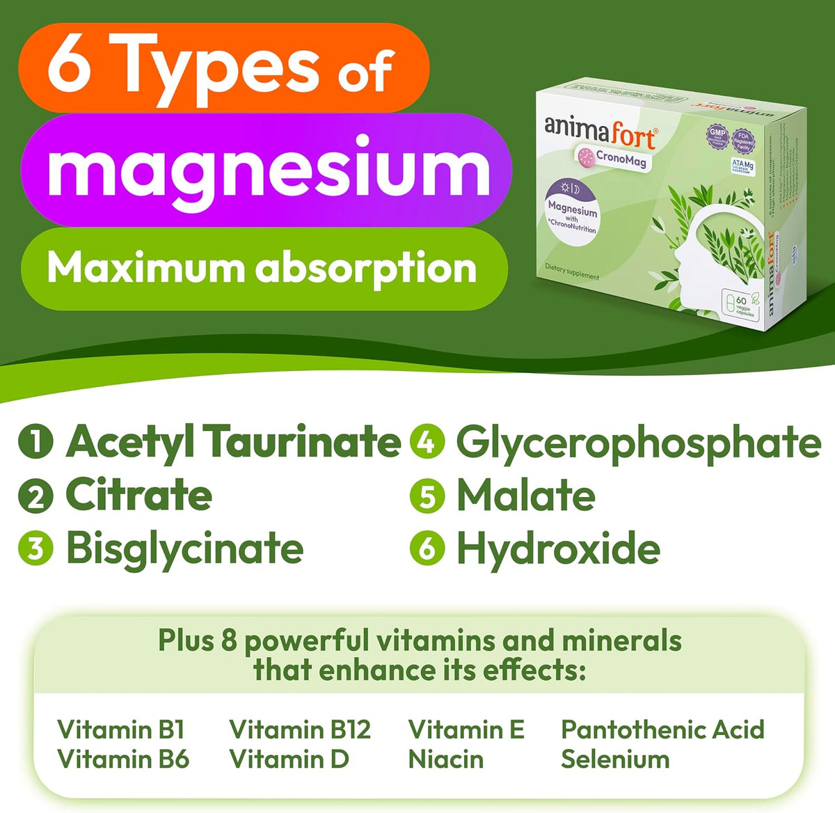 Animafort CronoMag - Magnesium Complex with 6 High-Absorption Salts, Vitamins B12 & D, 60 Capsules – Image 2