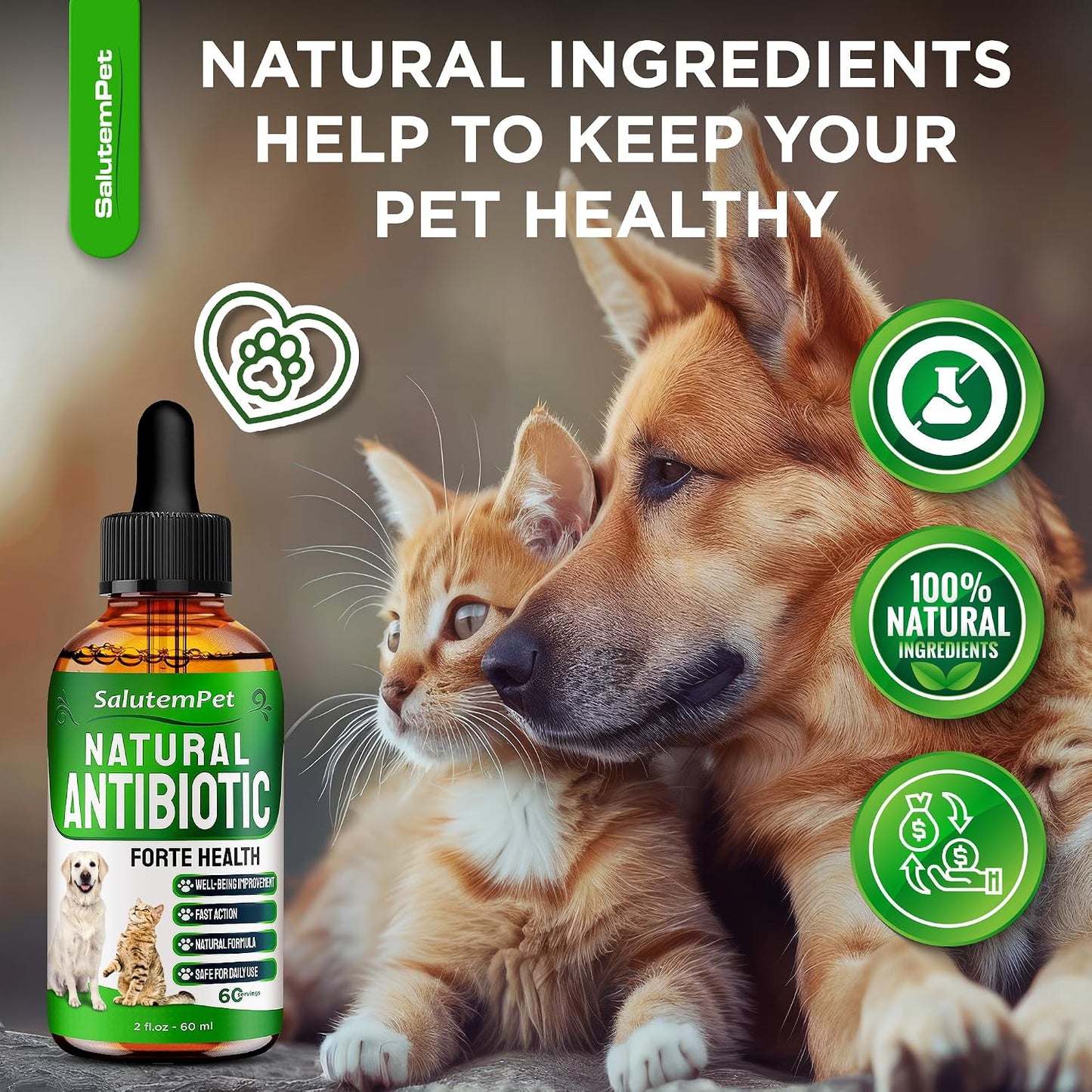 Natural Antibiotics for Dogs to Help with Allergies and UTIs | Kennel Cough Remedy for Dogs | Infection Support for Cats | Herbal Supplement Great for All Breeds and Ages | 60 mL - görsel 8