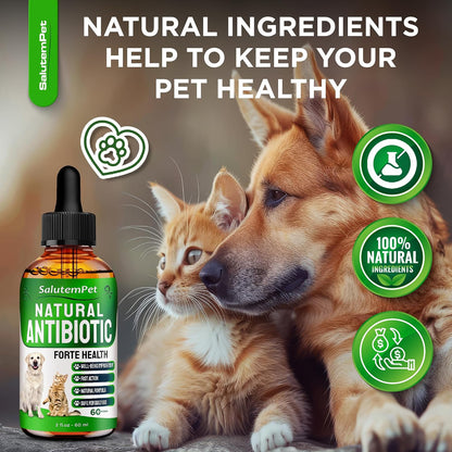 Natural Antibiotics for Dogs to Help with Allergies and UTIs | Kennel Cough Remedy for Dogs | Infection Support for Cats | Herbal Supplement Great for All Breeds and Ages | 60 mL