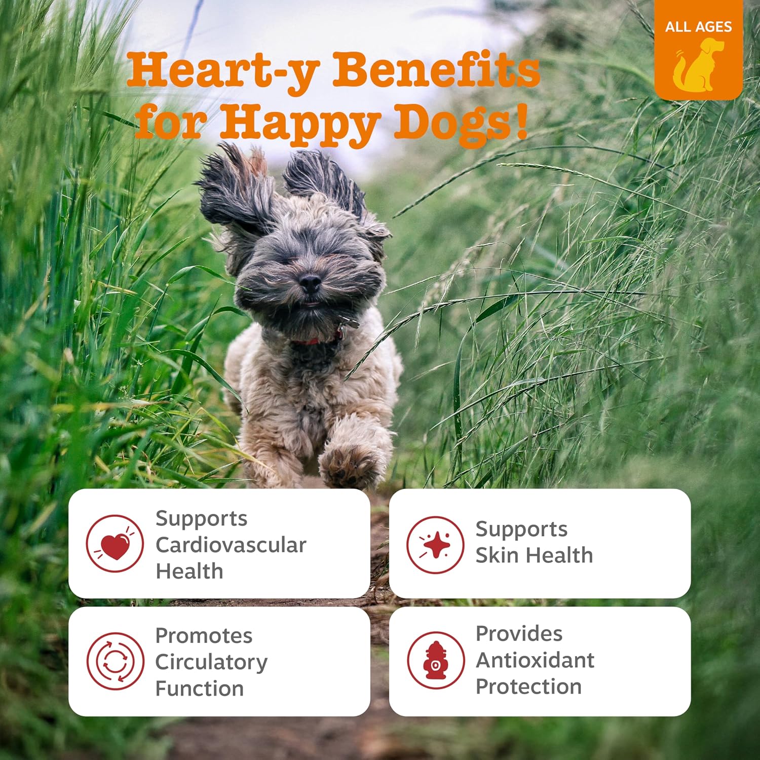 Zesty Paws Cardiovascular Support for Dogs - with CoQ10, Taurine, L-Carnitine & AlaskOmega Fish Oil - Senior Heart Health - Salmon Flavour - 90 Chews - görsel 2
