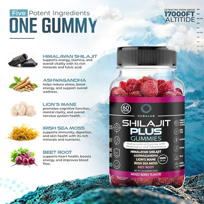 Shilajit Plus Gummies 5-in-1 Adaptogen Energy & Focus Supplement | Shilajit, Ashwagandha, Lion's Mane, Sea Moss & Beet Root – Image 2