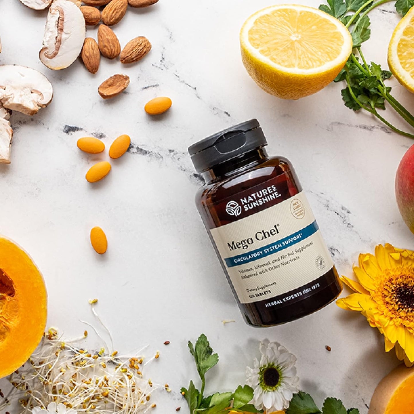 Nature's Sunshine Mega-Chel - 120 Tablets - görsel 6