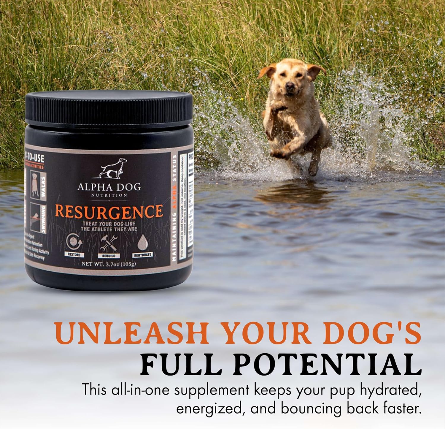 Alpha Dog Nutrition Electrolytes for Dogs – PhD Formulated Hydration Supplement with Beef Flavour for Active Canines - görsel 6