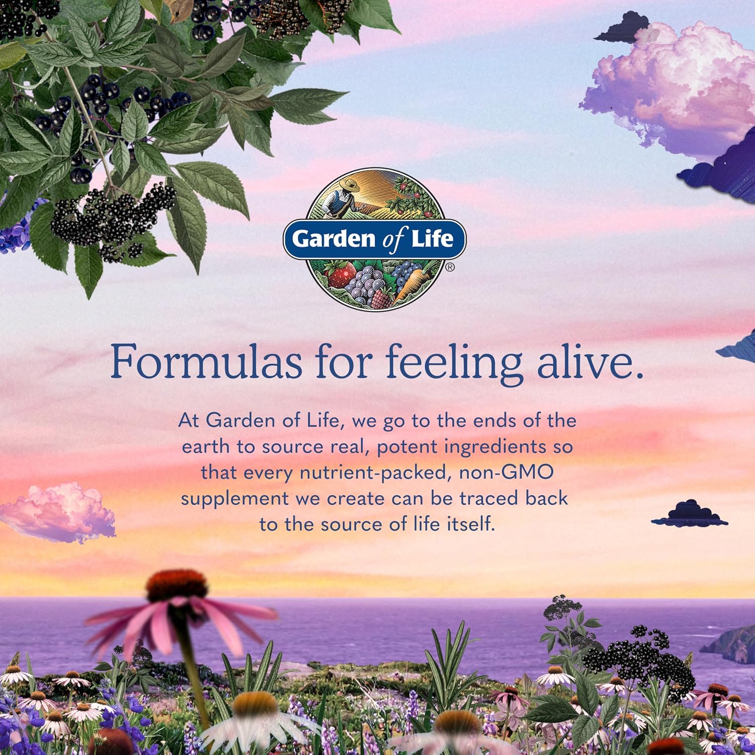 Garden of Life Vitamin Code RAW ONE for Women Once Daily Whole Food Multivitamin with Probiotics, 75 Capsules - görsel 8