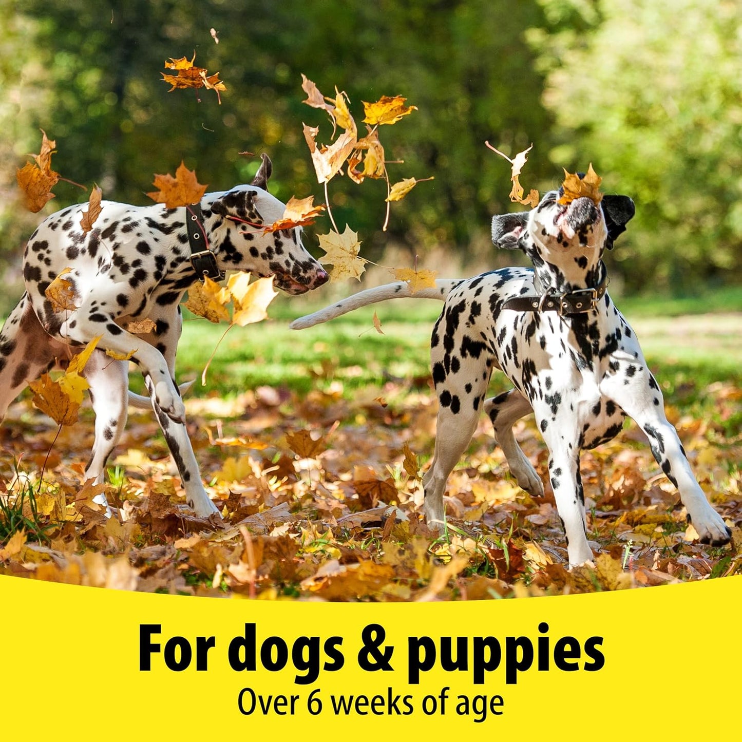 Vetzyme Dog B+E 200 Tablets - görsel 4