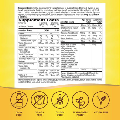 Nature's Way Alive! Children's Premium Gummy Multivitamin (90 Gummies)