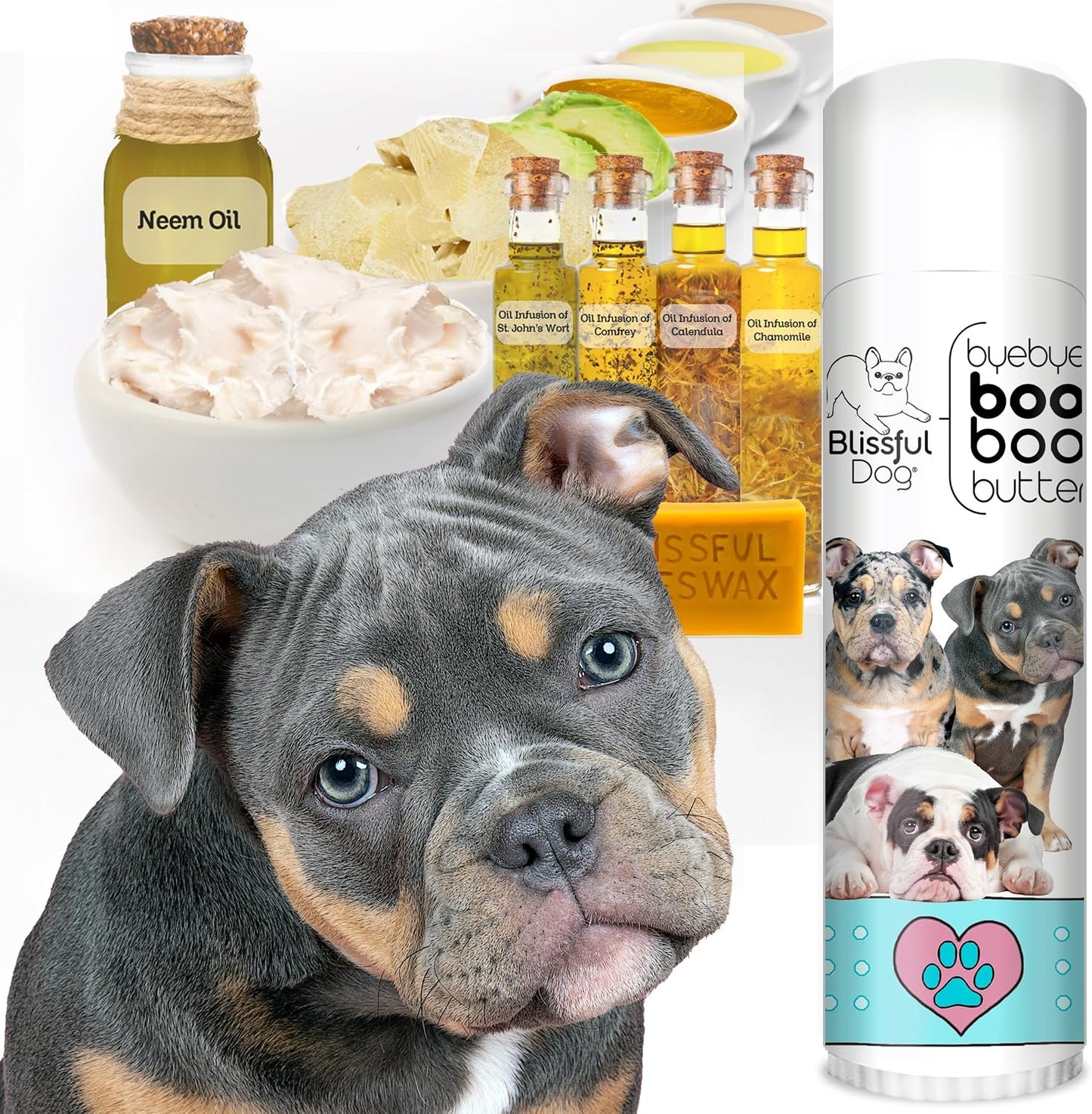 The Blissful Dog Olde English Bulldogge Booboo Butter - 14 g Tube - görsel 2