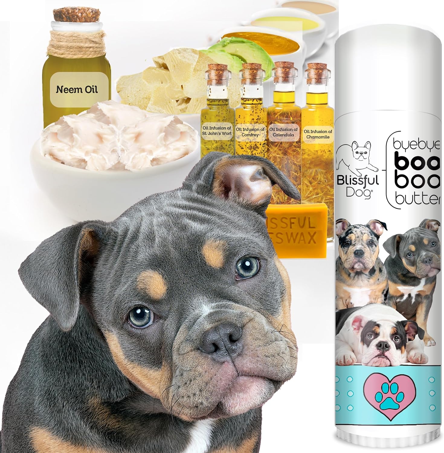 The Blissful Dog Olde English Bulldogge Booboo Butter - 14 g Tube - görsel 2