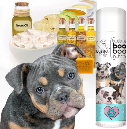 The Blissful Dog Olde English Bulldogge Booboo Butter - 14 g Tube