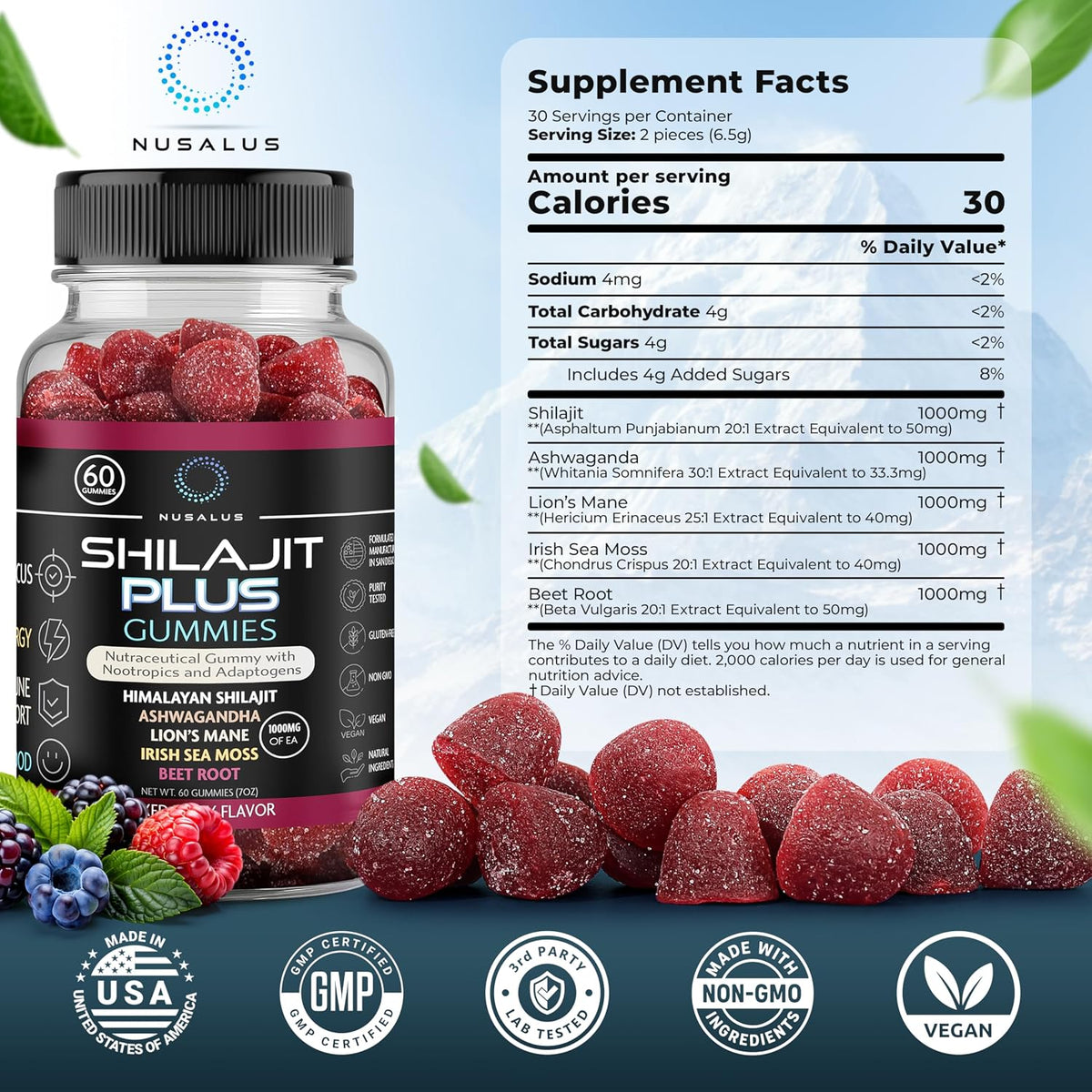 Shilajit Plus Gummies 5-in-1 Adaptogen Energy & Focus Supplement | Shilajit, Ashwagandha, Lion's Mane, Sea Moss & Beet Root – Image 7