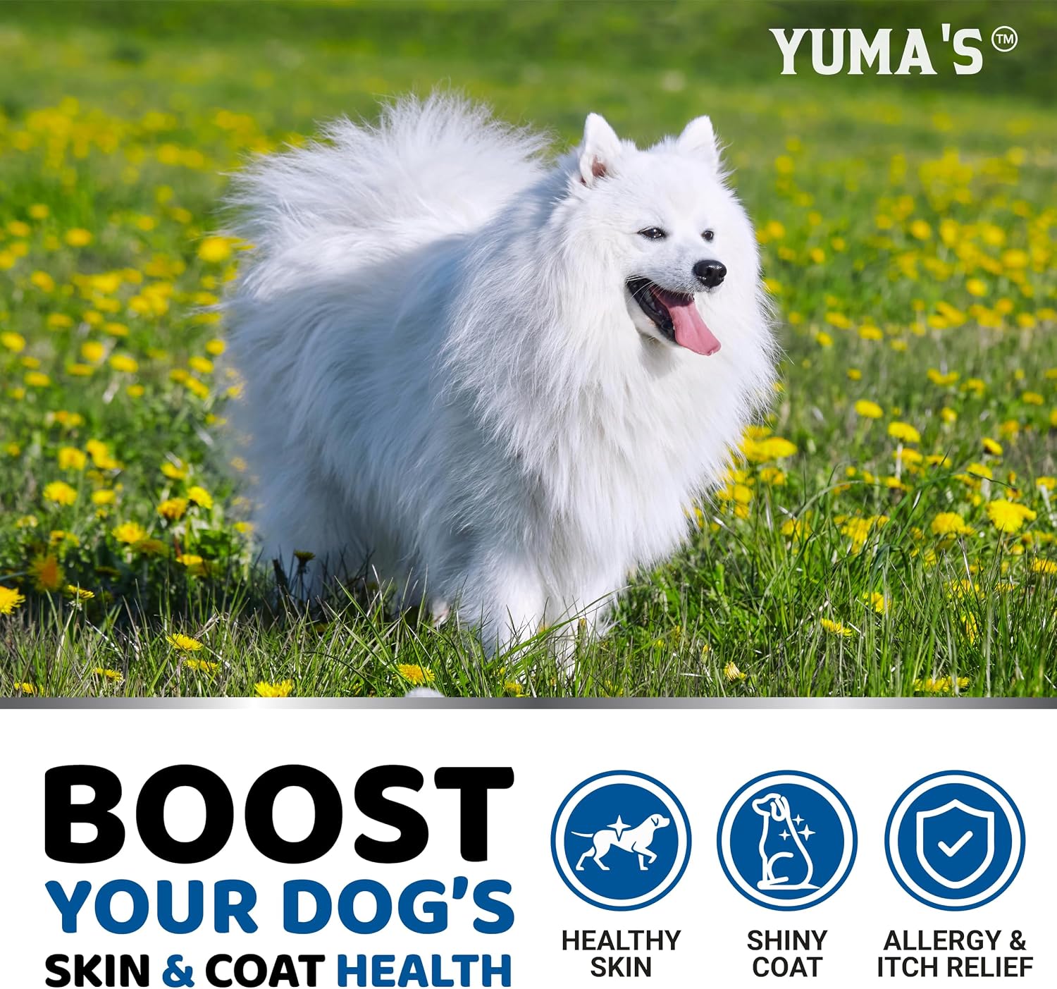 Omega 3 Fish Oil for Dogs - 170 Chews - Skin and Coat Supplement - Omega 3 for Dogs - Dry & Itchy Skin Relief - Allergy Support - Anti Shedding Treats - Salmon - EPA & DHA - Chicken Flavour - görsel 4