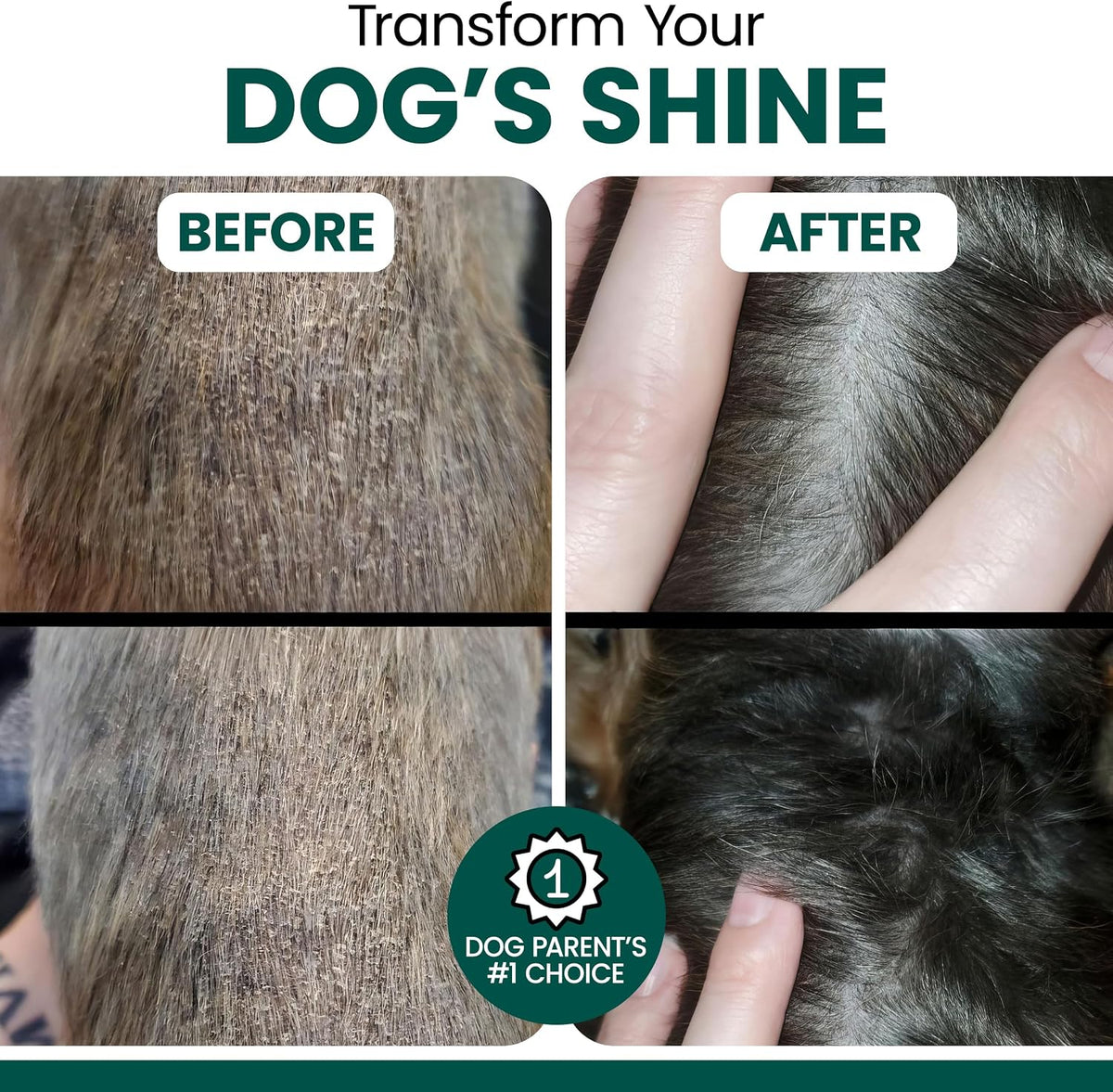 Vegan Omega 3 Oil for Dogs - 118 ml - – Cognitive Function: DHA is a key structural component of the brain and may – Image 4