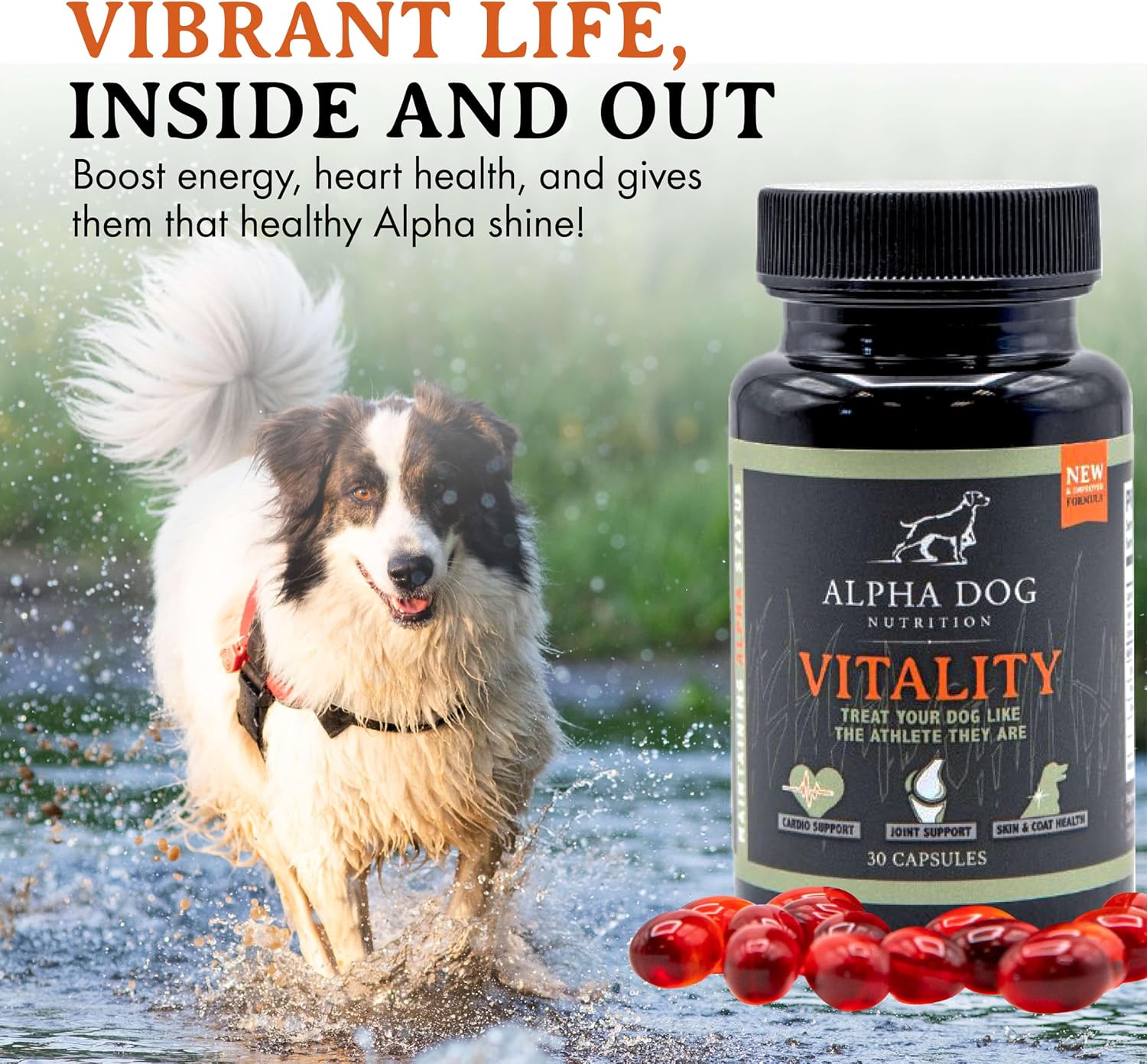Krill Oil for Dogs – Vitality from Alpha Dog Nutrition - görsel 4